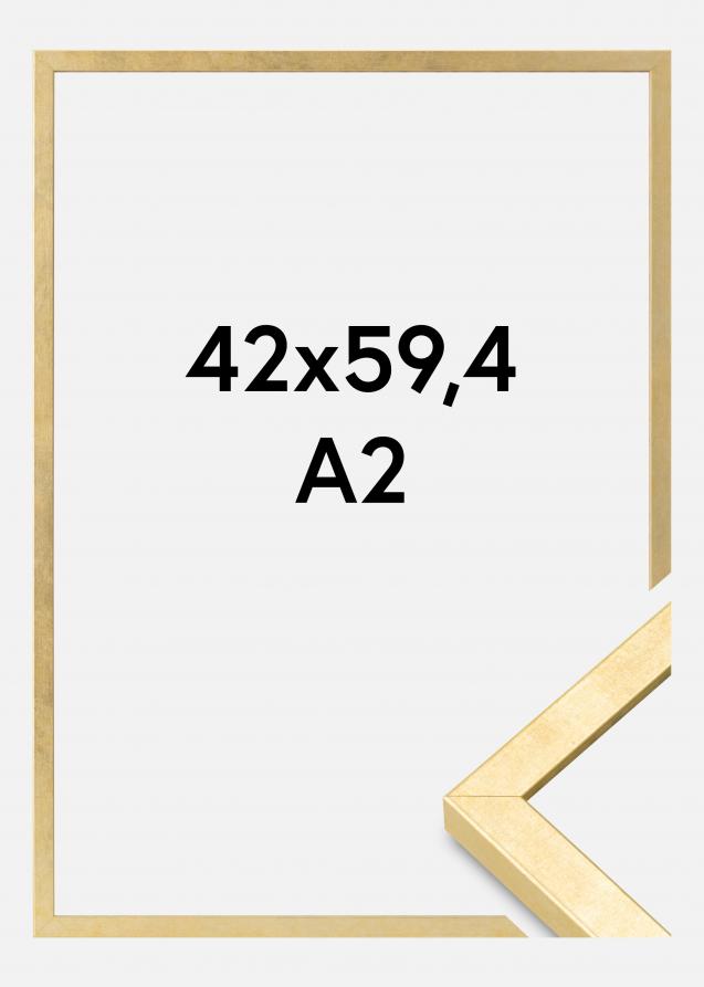 Kehys Ares Akryylilasi Kulta 42x59,4 cm (A2)
