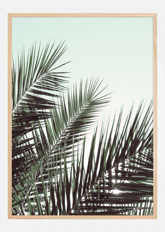 Palm leaves sky Juliste