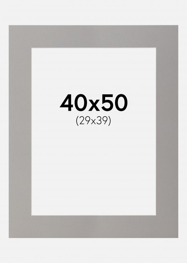 Paspatuuri Harmaa 40x50 cm (29x39)
