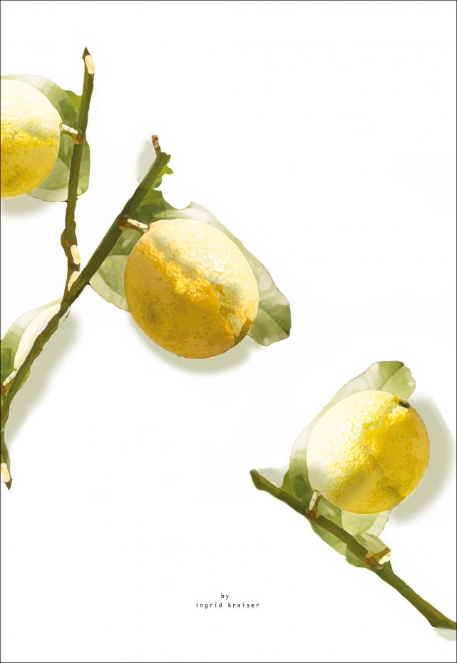 Lemons Juliste
