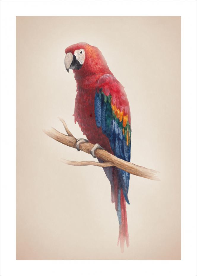 Tropical Parrot Juliste