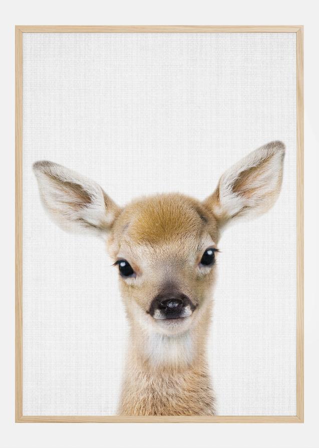 Peekaboo Baby Deer Juliste