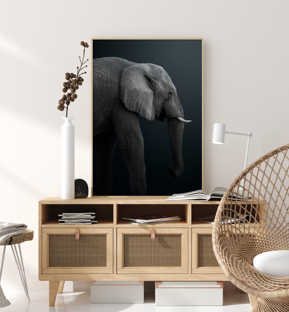 Namibian Elephant Juliste