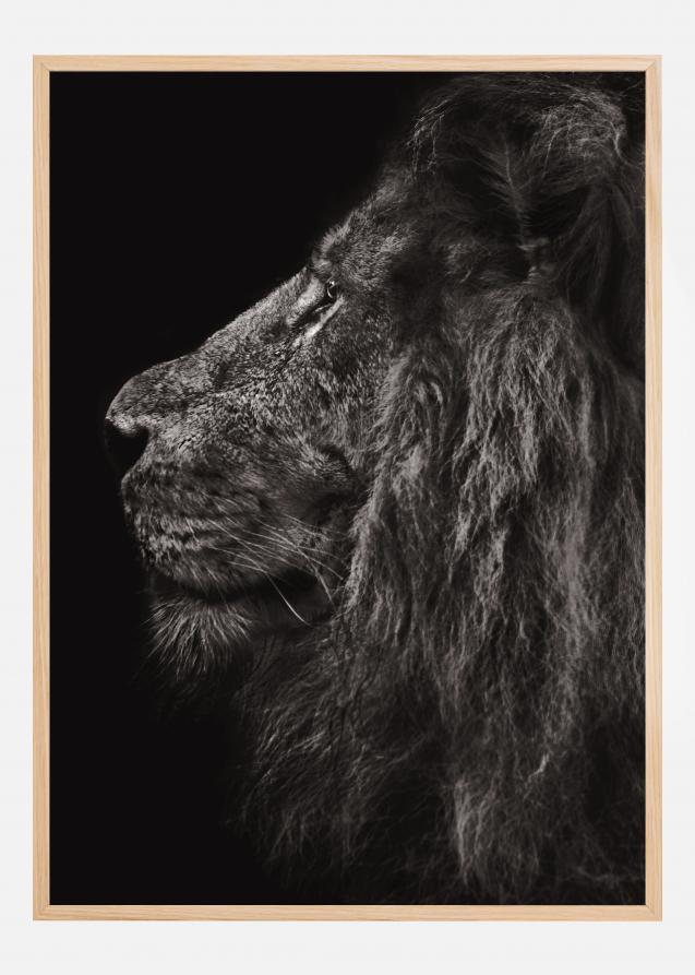 Lion In Profile Juliste