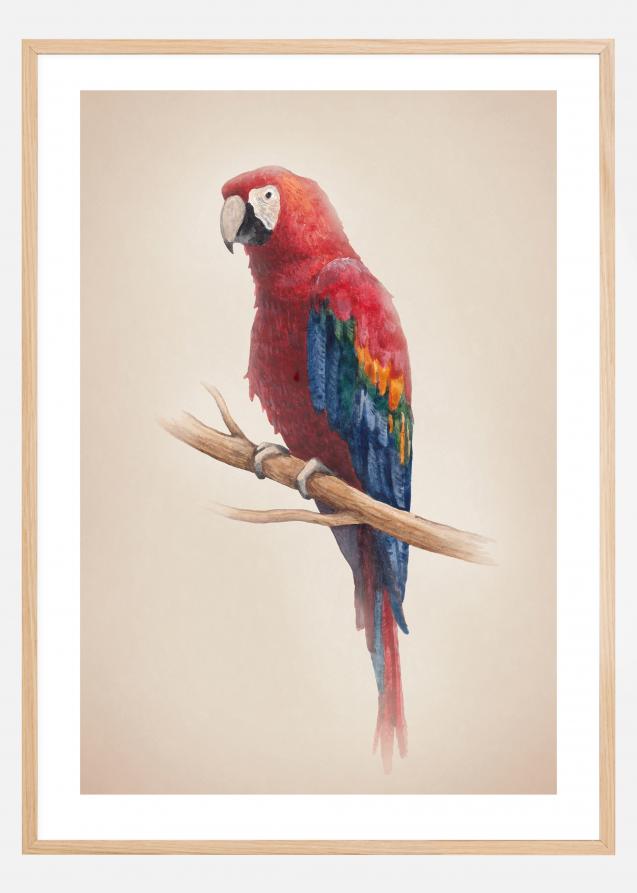 Tropical Parrot Juliste