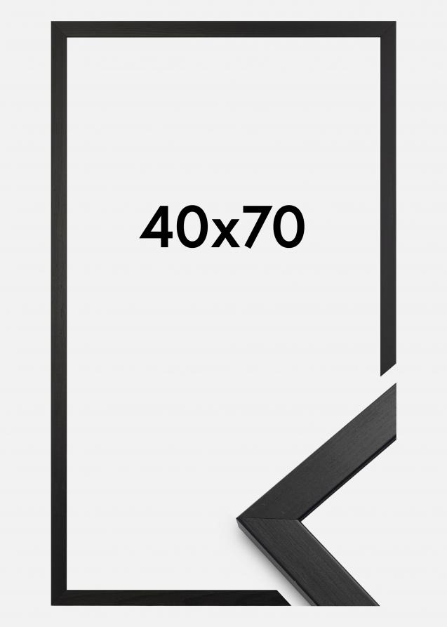 Kehys Stilren Akryylilasi Musta 43,2x61 cm (A2+)