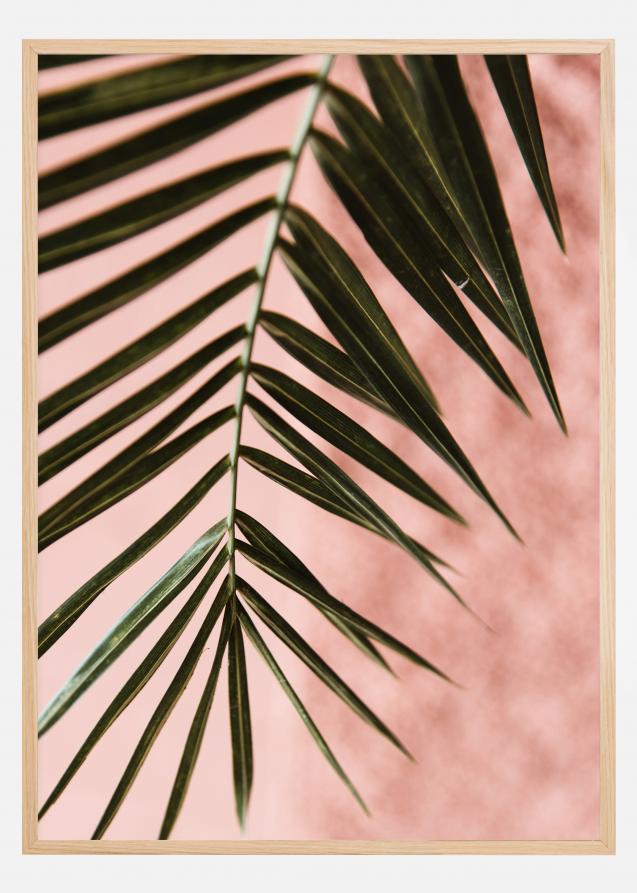 Pink pastell palm Juliste