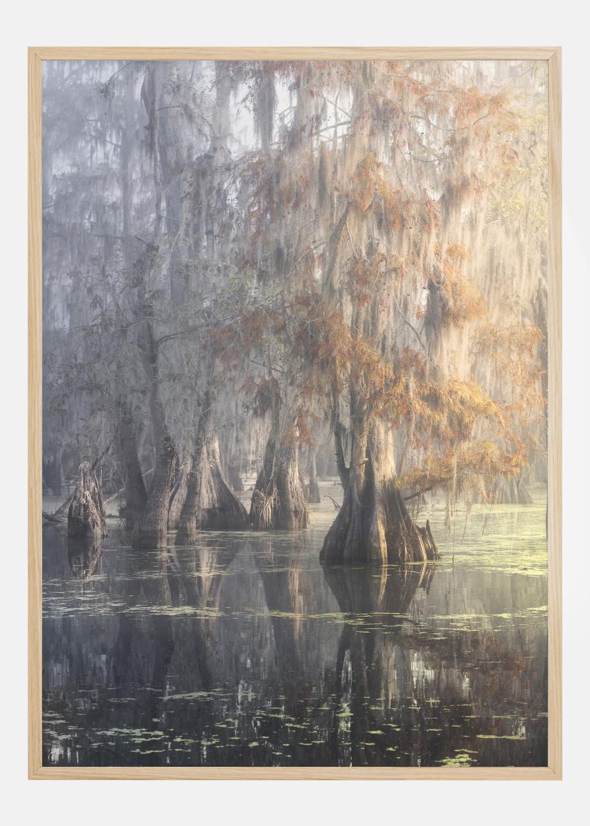 Louisiana Swamp Juliste