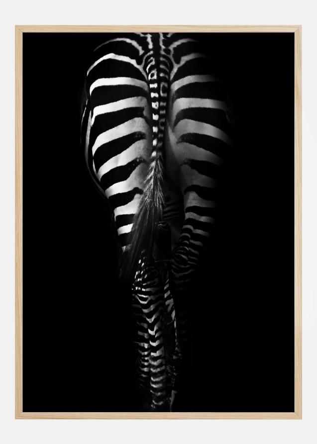 Zebra Tail Juliste