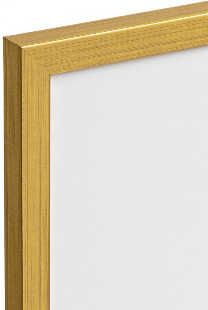Kehys Frame Gold 40x60 cm