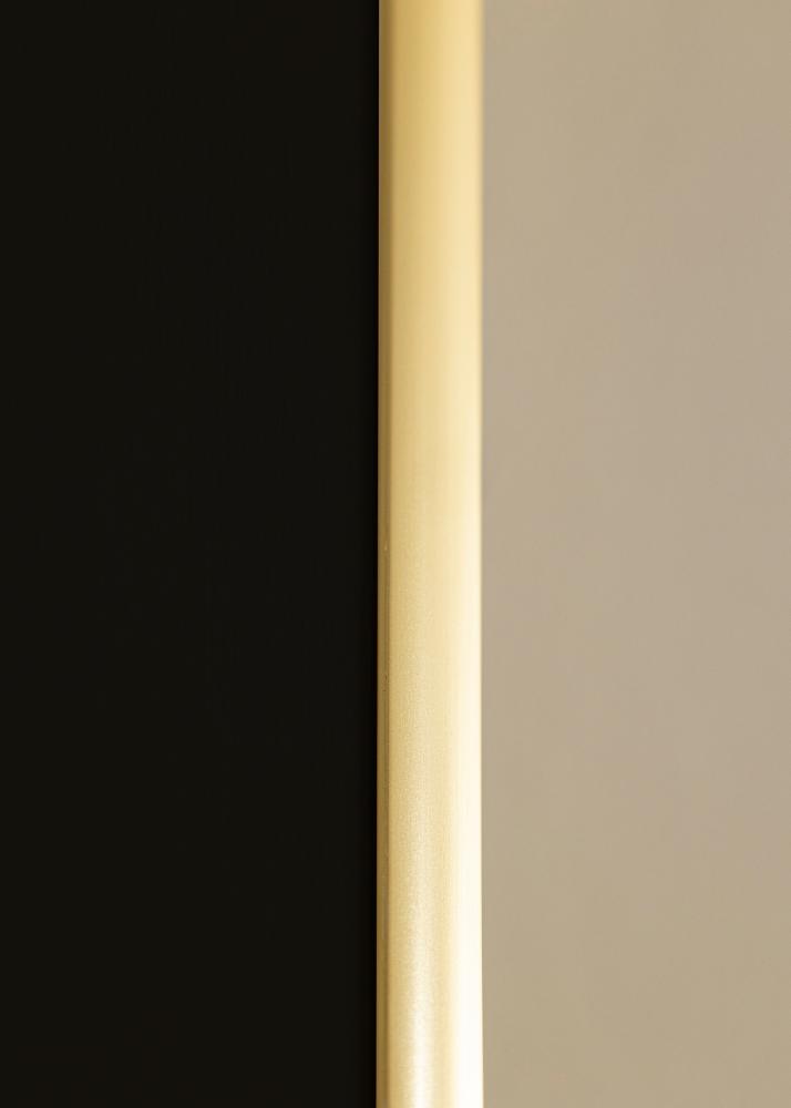 Kehys New Lifestyle Kulta 50x70 cm - Paspatuuri Musta 42x59,4 cm (A2)