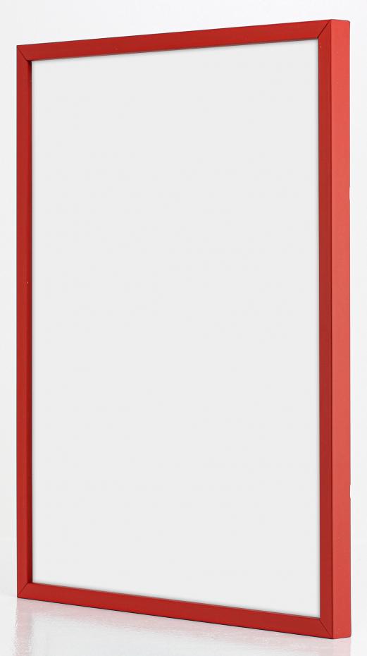 Kehys E-Line Akryylilasi Punainen 70x100 cm