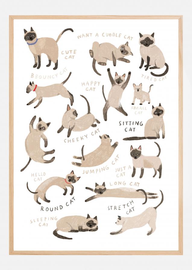 Siamese Cat Print Juliste