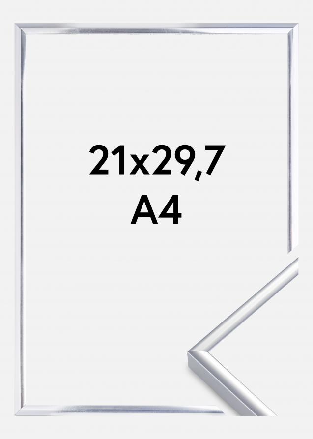 Kehys Aluminium Akryylilasi Kiiltävä Hopeanvärinen 21x29,7 cm (A4)
