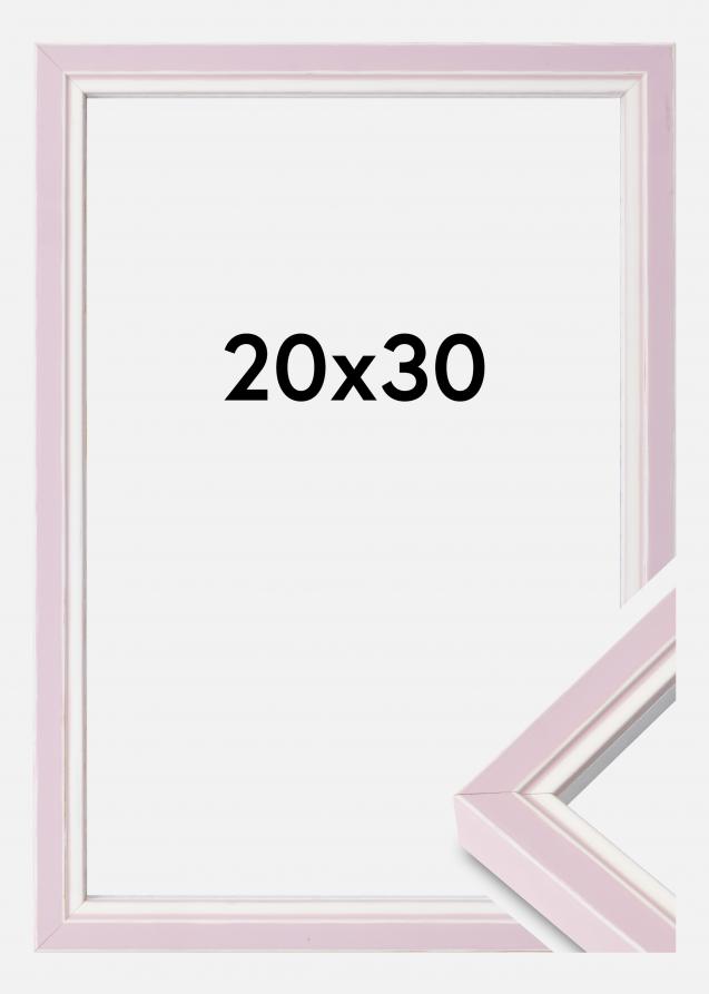 Kehys Diana Akryylilasi Pink 20x30 cm