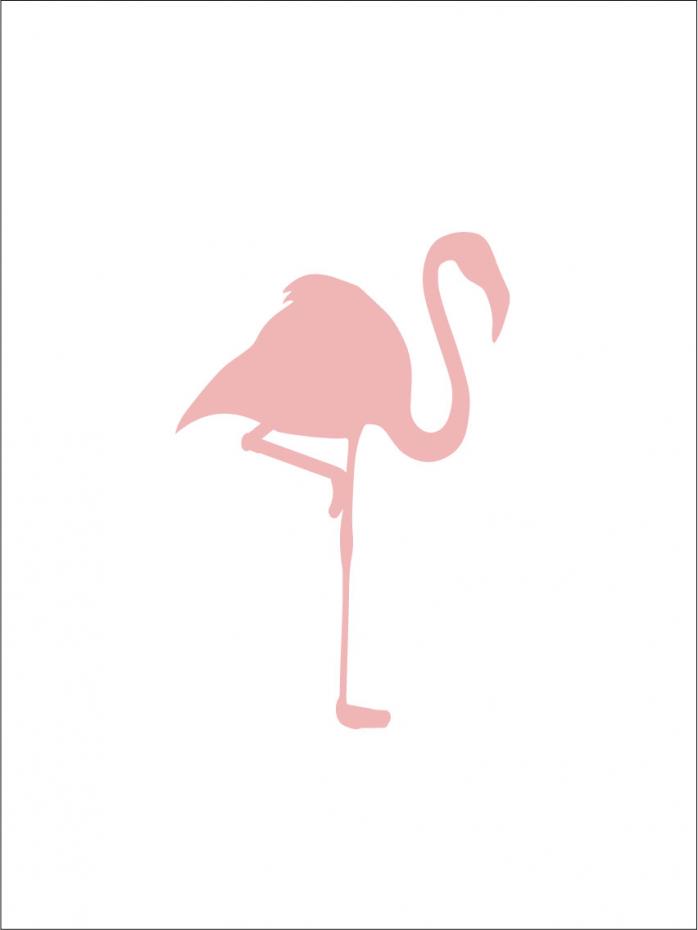 Flamingo - PuderVaalenpunainen Juliste
