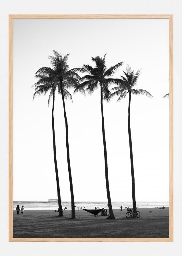 Black And White Palm Trees Juliste