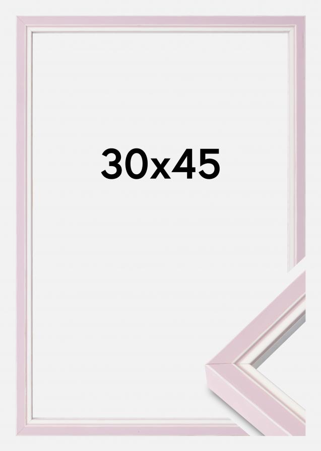 Kehys Diana Akryylilasi Pink 30x45 cm
