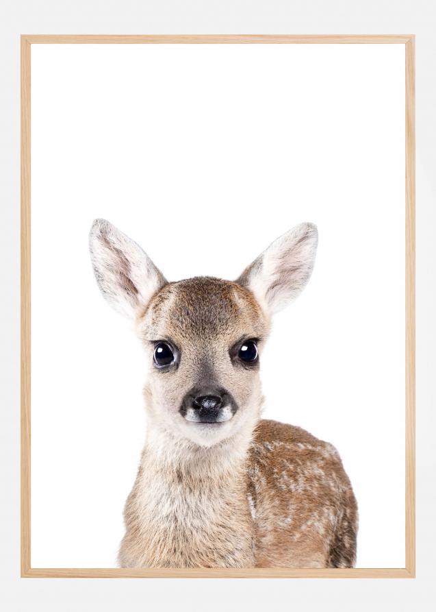 Baby Deer Juliste