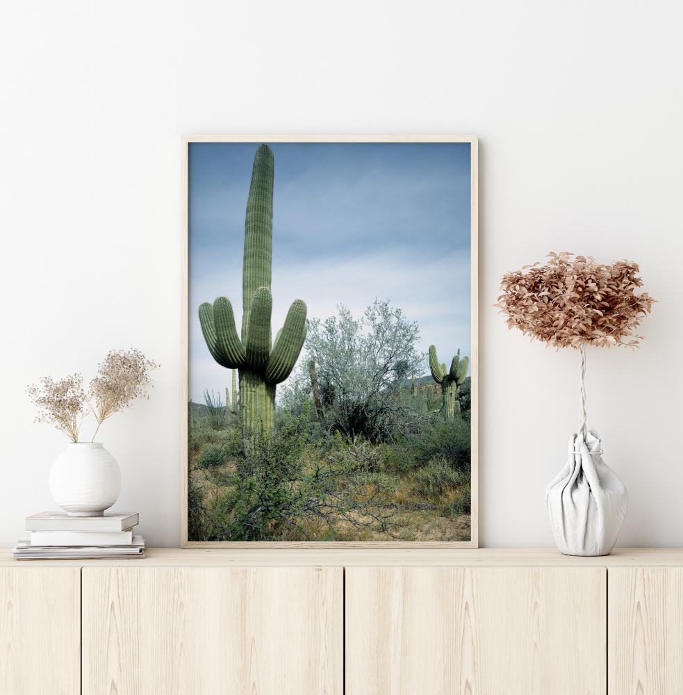 Cactus Land Juliste