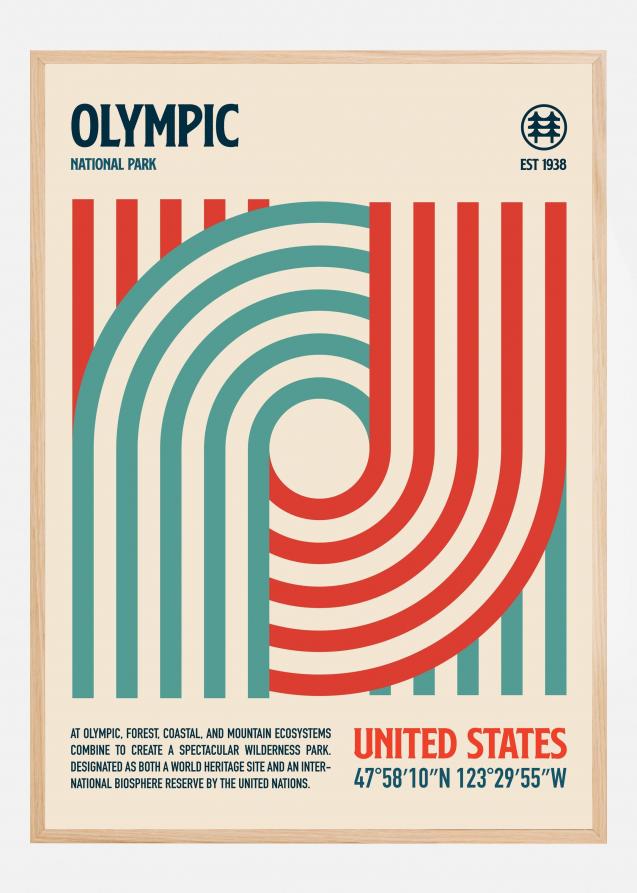 Olympic National Park Travel Poster Juliste