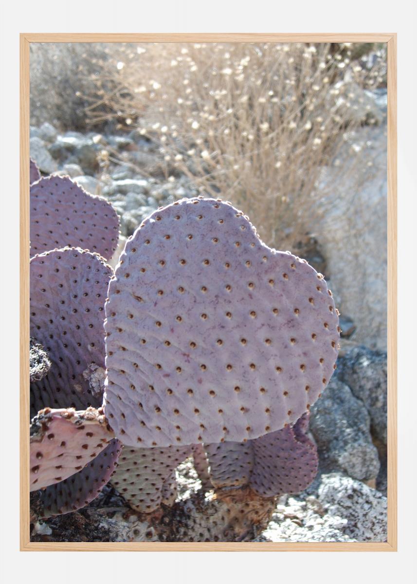 Cactus Juliste
