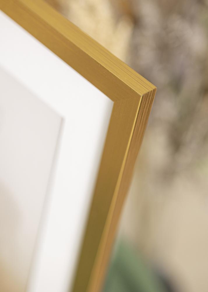 Kehys Gold Wood Akryylilasi 60x80 cm