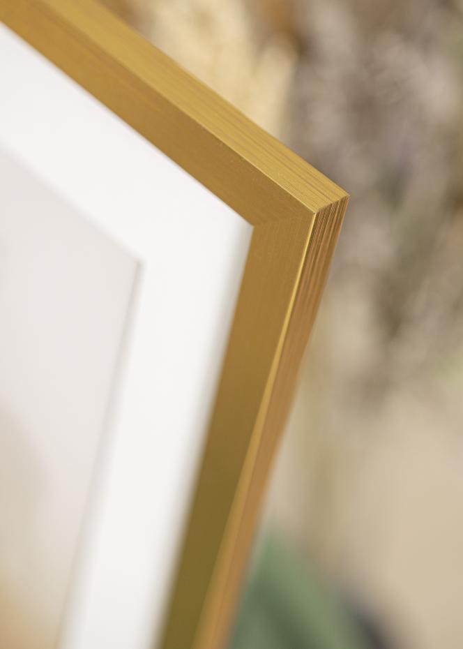 Kehys Gold Wood Akryylilasi 50x100 cm