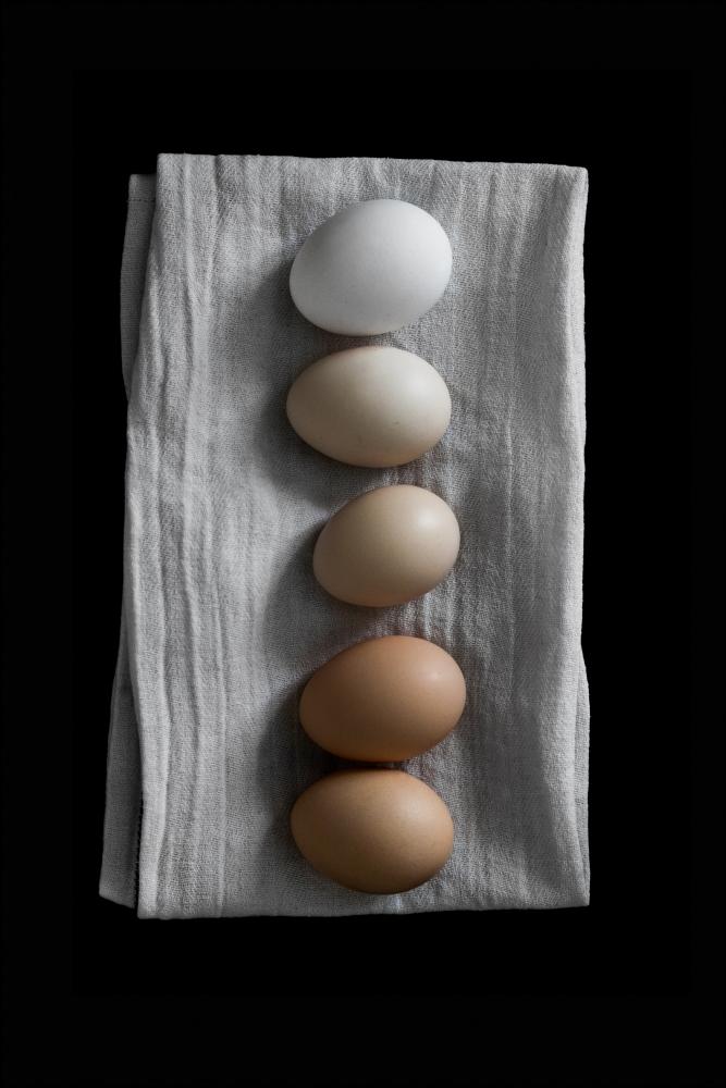 Farm eggs Juliste