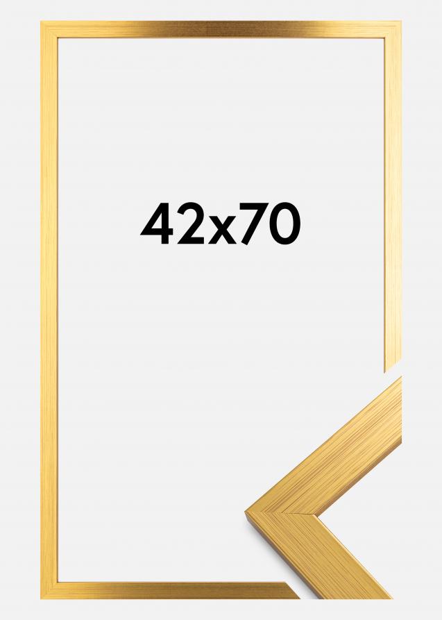 Kehys Gold Wood Akryylilasi 42x70 cm