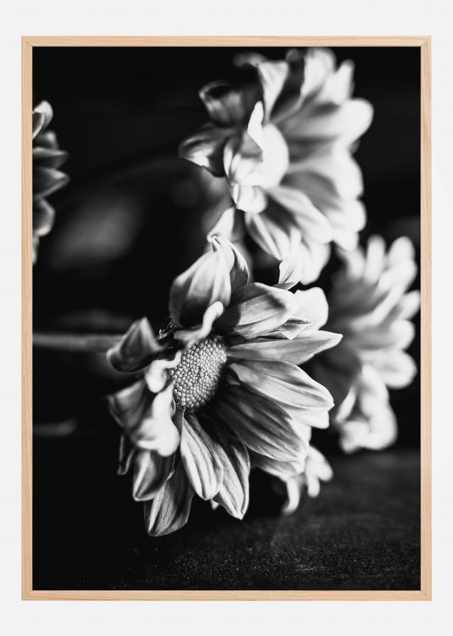 Black and White Flowers Juliste