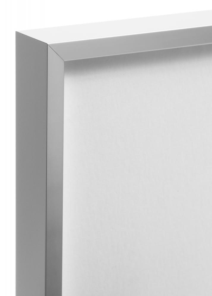 Kehys Nielsen Premium Alpha Blank Hopeanvrinen 30x40 cm