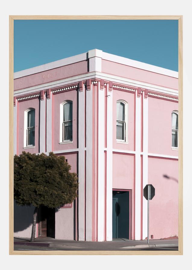 Pink Building Juliste