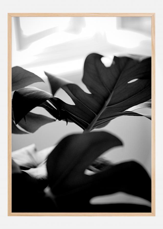 Monstera in Black and White l Juliste