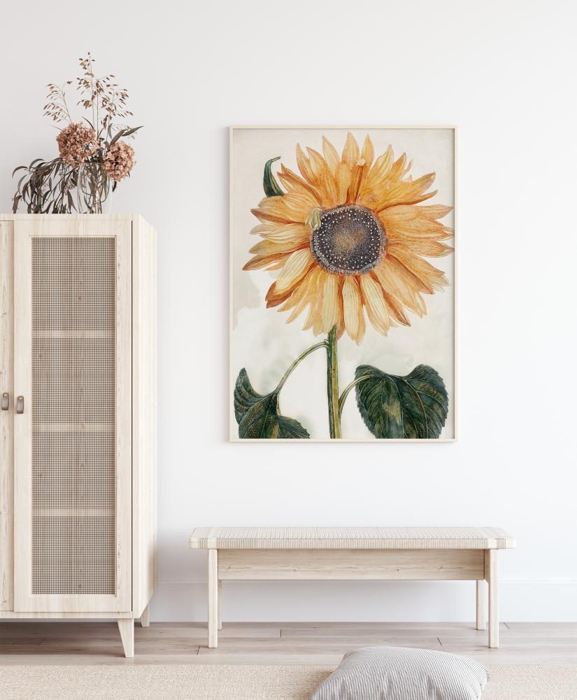 Sunflower Art Juliste