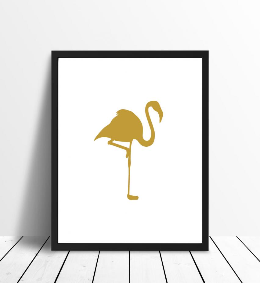 Flamingo - Kullanvrinen