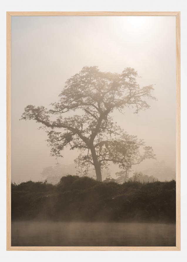Misty Tree Juliste