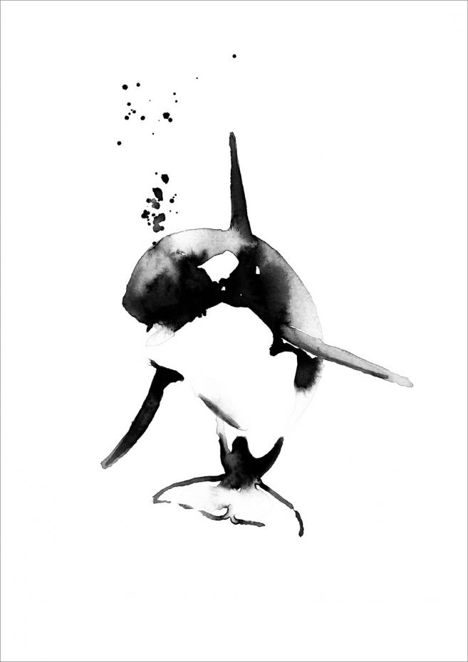 Magdaty - Mini killer whale