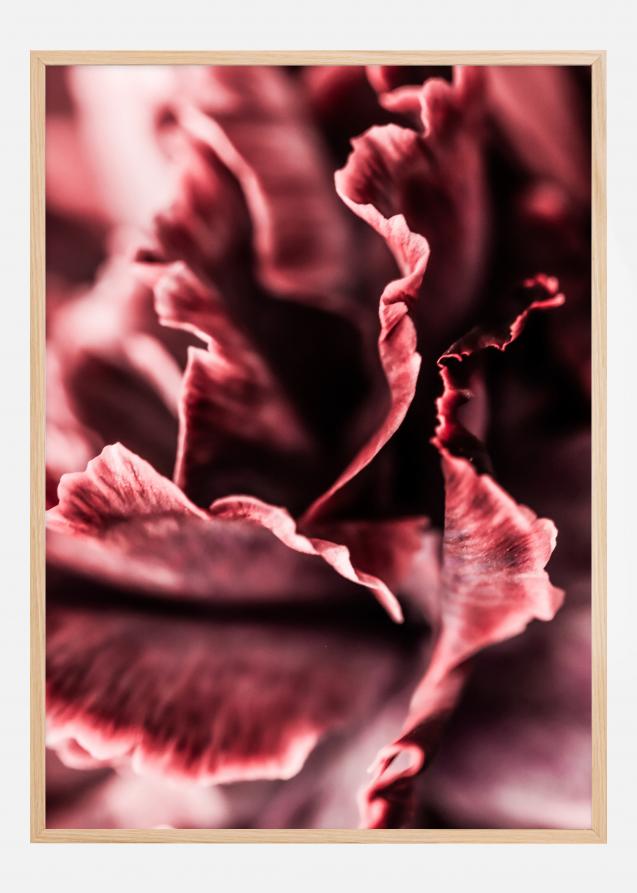 Rose petals Juliste