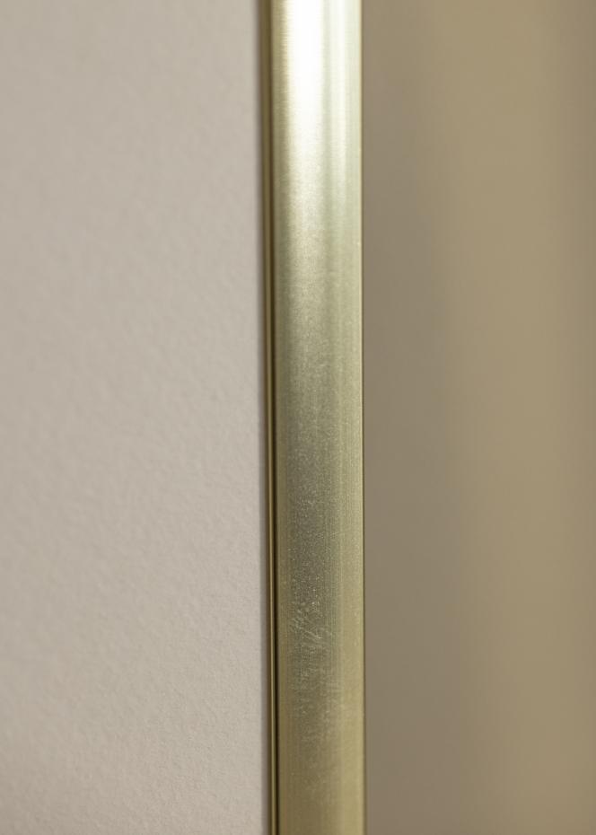 Kehys Poster Frame Aluminum Akryylilasi Gold 70x100 cm