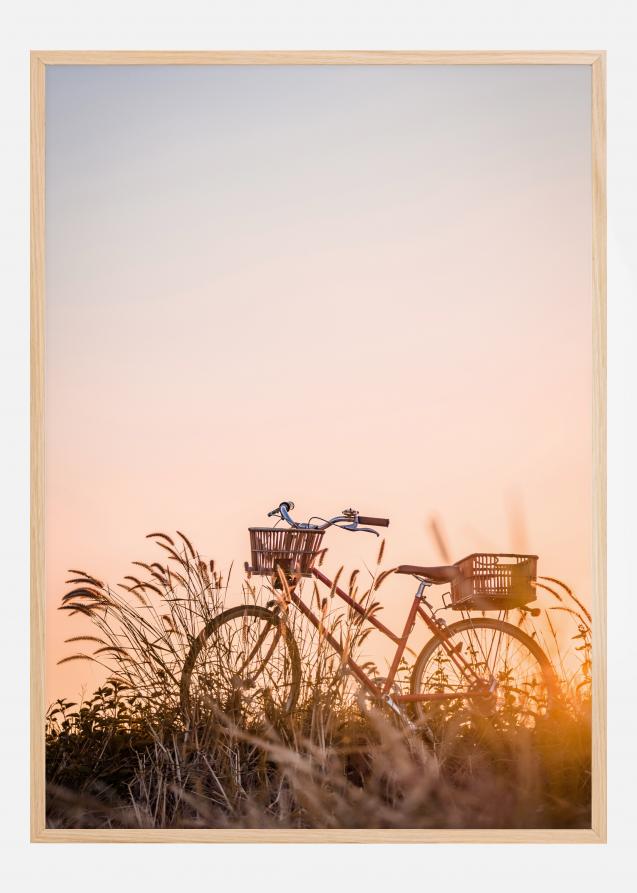 Bike Ride In The Sunset Juliste