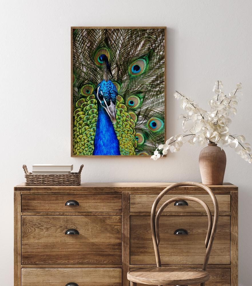 Peacock I Juliste