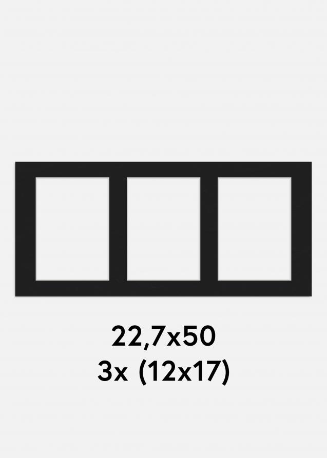 Paspatuuri Musta 22,7x50 cm - Kollaasi 3 kuvalle (12x17 cm)