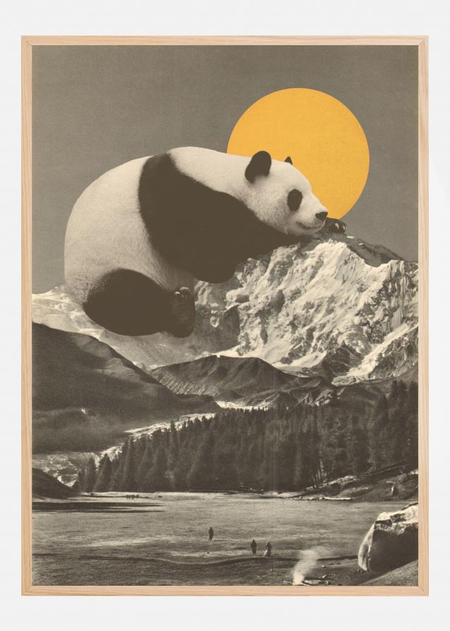 Giant Panda Nap Juliste