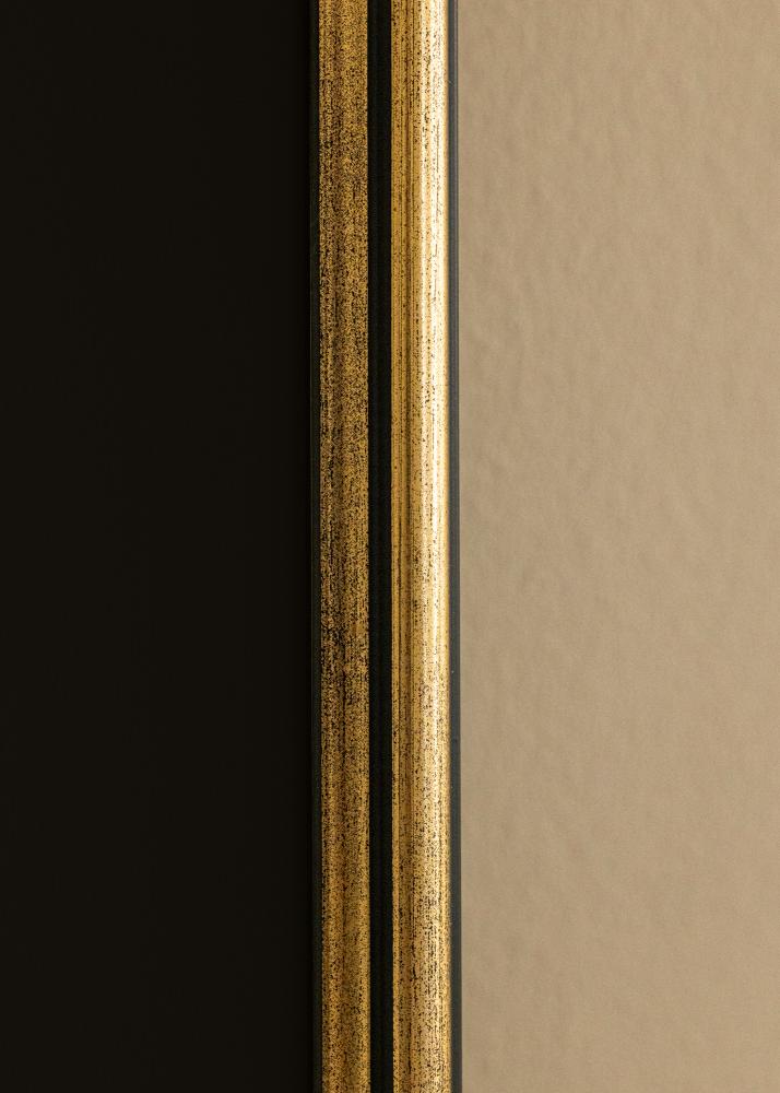 Kehys Horndal Kulta 40x50 cm - Paspatuuri Musta 27,5x37 cm