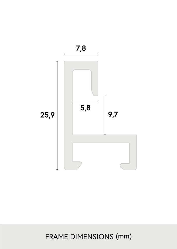 Kehys Nielsen Premium Alpha Blank Hopeanvrinen 21x29,7 cm (A4)