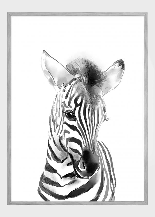 Zebra Watercolor Juliste