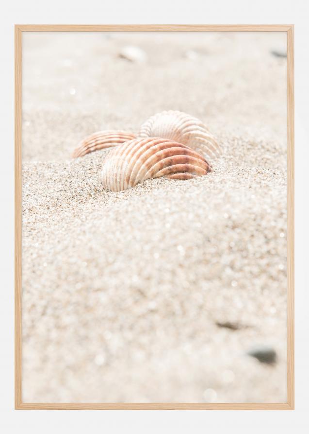 Seashell beach Juliste