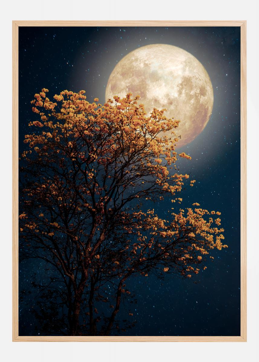 Tree in moonlight Juliste