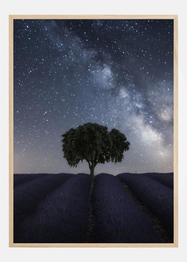 Tree And Milky Way Juliste